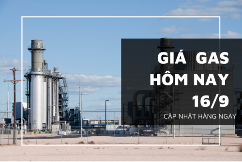 gia gas hom nay 16 9 20220916104422980